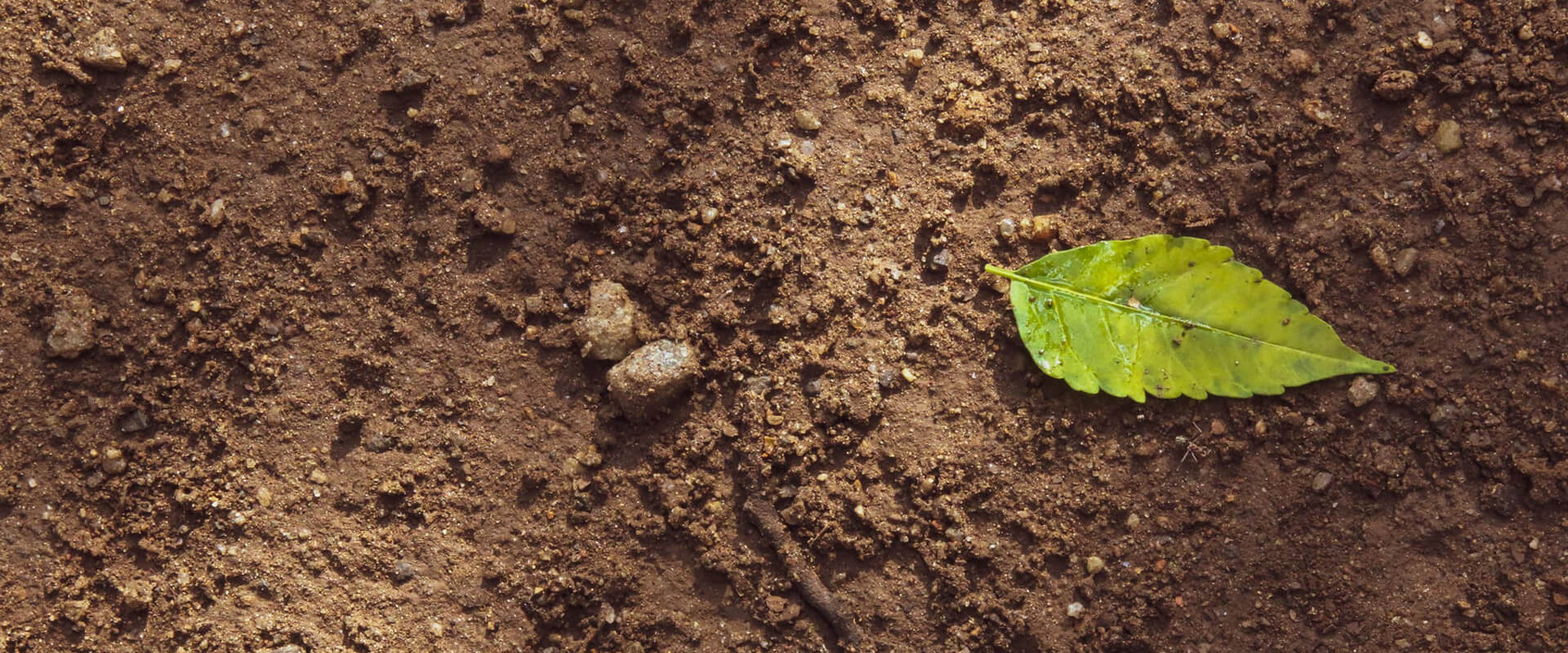 國產(chǎn)質(zhì)譜儀-安益譜TQ9100通過離子色譜-串聯(lián)質(zhì)譜（IC-MS/MS）技術(shù)，可以廣泛應(yīng)用于多種樣品的檢測(圖3)