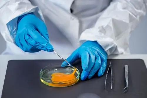 安益譜GC/MS產(chǎn)品：助力電子電氣行業(yè)精準測定增塑劑含量(圖2)